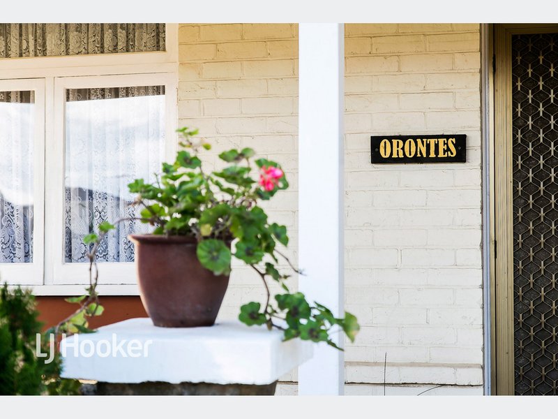 Photo - 27 Greville Avenue, Flinders Park SA 5025 - Image 20