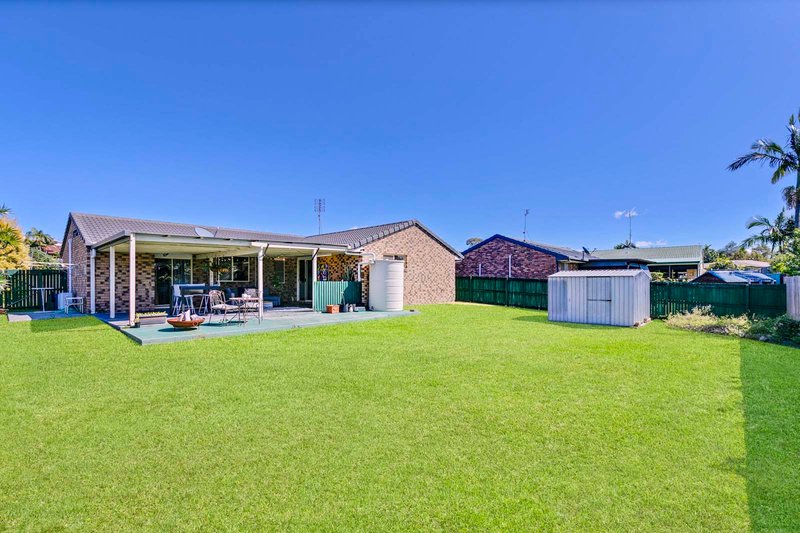 Photo - 27 Harrier Street, Aroona QLD 4551 - Image 6