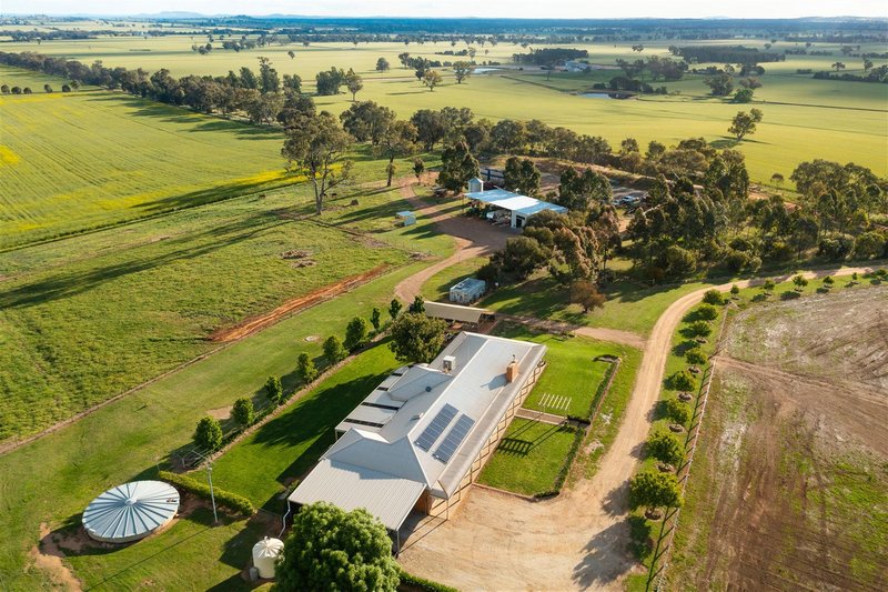 Photo - 27 Kleemans Road, Henty NSW 2658 - Image