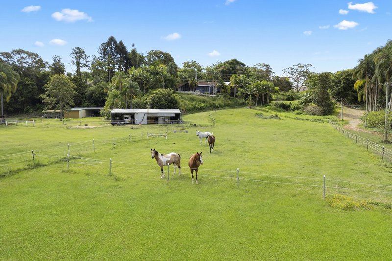 Photo - 27 Mark Way, Mudgeeraba QLD 4213 - Image 4