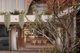 Photo - 27 Martha Street, Camp Hill QLD 4152 - Image 4