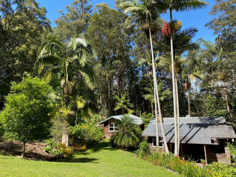 Photo - 27 Minyon Falls Road, Repentance Creek NSW 2480 - Image 12