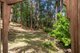 Photo - 27 Minyon Falls Road, Repentance Creek NSW 2480 - Image 16