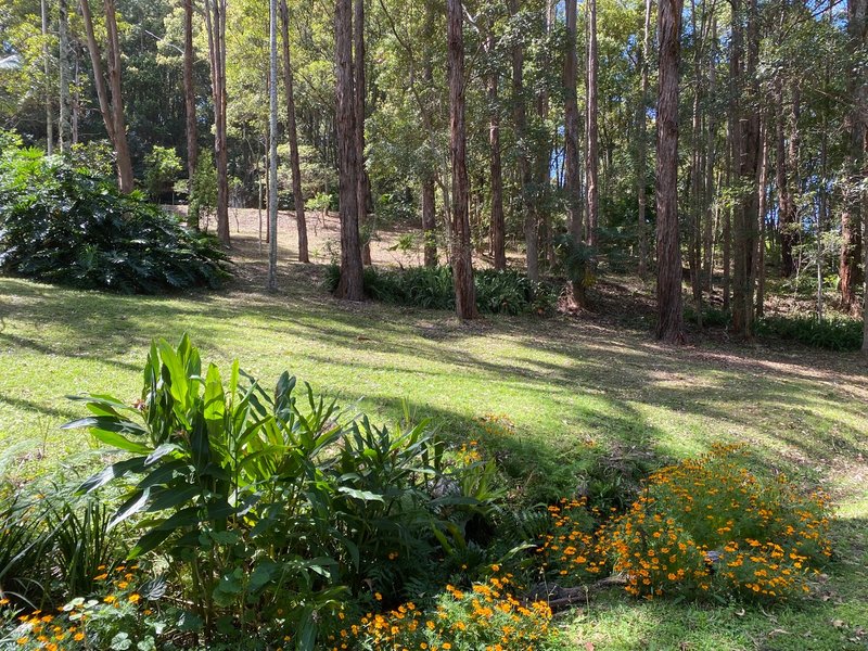 Photo - 27 Minyon Falls Road, Repentance Creek NSW 2480 - Image 18