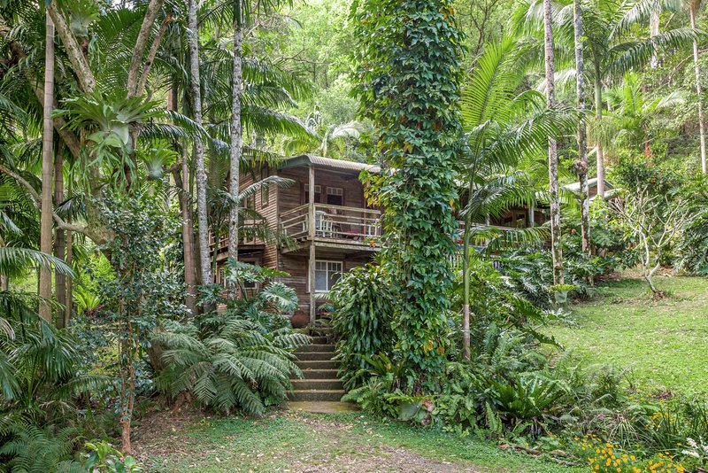 Photo - 27 Minyon Falls Road, Repentance Creek NSW 2480 - Image 19