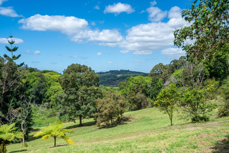 Photo - 27 Minyon Falls Road, Repentance Creek NSW 2480 - Image 22