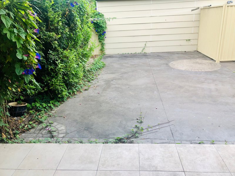 Photo - 27 Mount Avenue, Roselands NSW 2196 - Image 18