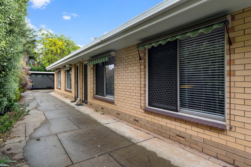 Photo - 2/7 Musgrave Avenue, West Hindmarsh SA 5007 - Image 11