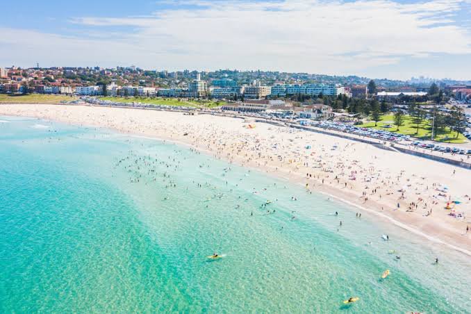 Photo - 2/7 Penkivil Street, Bondi NSW 2026 - Image 13