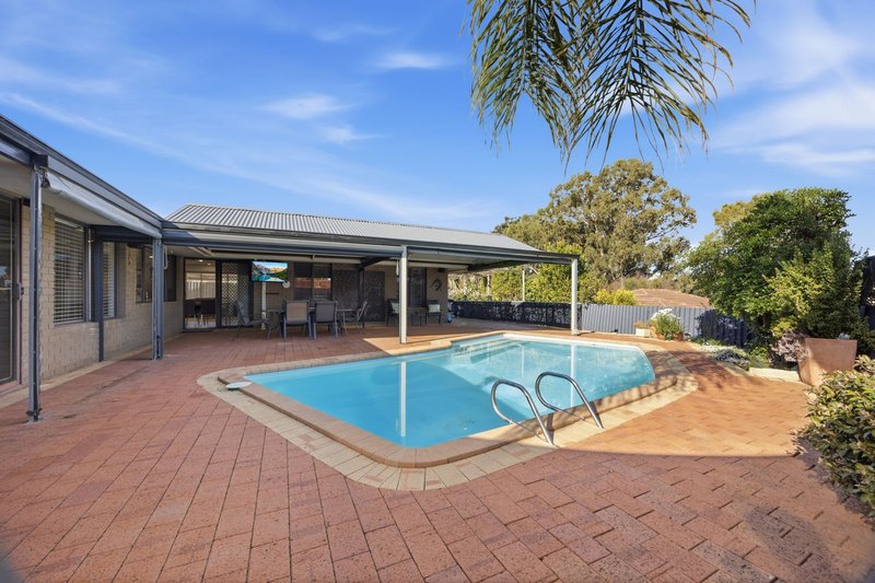 Photo - 27 Petterson Avenue, Kardinya WA 6163 - Image 17