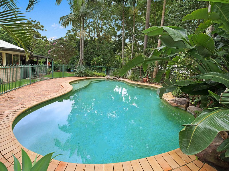 Photo - 27 Possumwood Place, Buderim QLD 4556 - Image 2