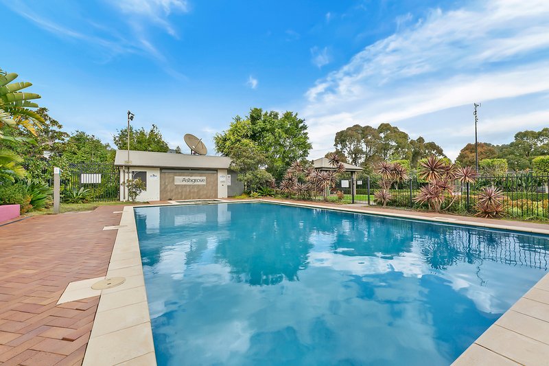 Photo - 27 Raglan Road, Auburn NSW 2144 - Image 10