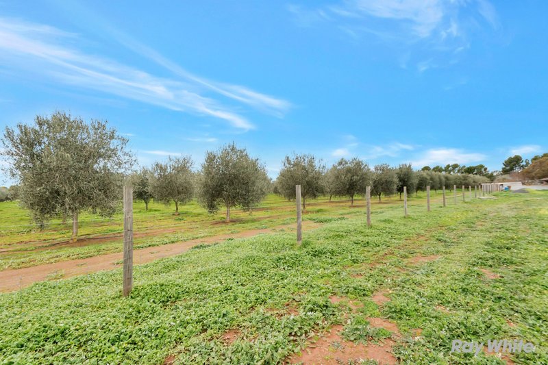 Photo - 27 Reed Road, Hillier SA 5116 - Image 18