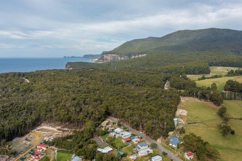 Photo - 27 Tasmans Arch Road, Eaglehawk Neck TAS 7179 - Image 4