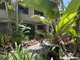 Photo - 2/7 Tropic Court, Port Douglas QLD 4877 - Image 2