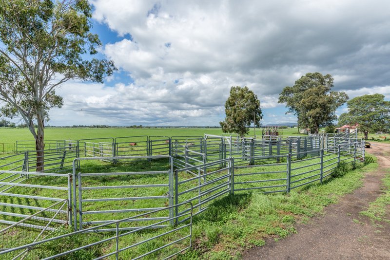 Photo - 27 Whitefalls Lane, Singleton NSW 2330 - Image 8