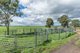 Photo - 27 Whitefalls Lane, Singleton NSW 2330 - Image 8