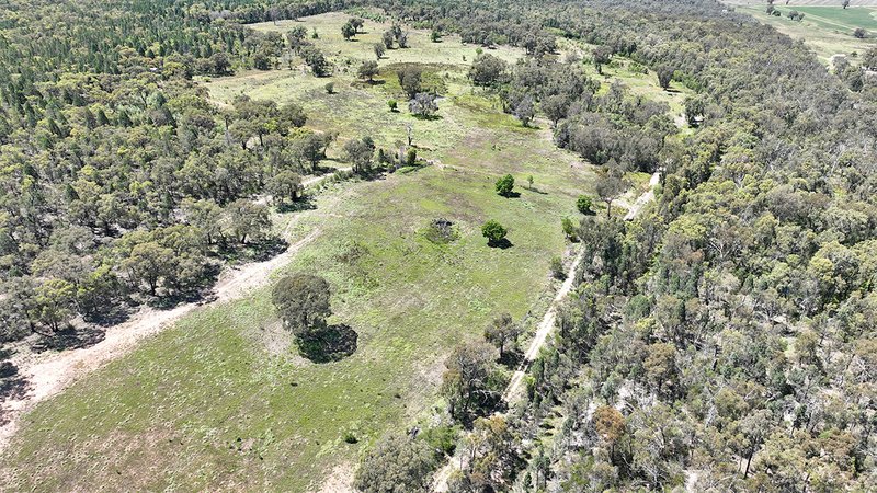 Photo - 27 Yearinan Road, Yearinan NSW 2357 - Image 5