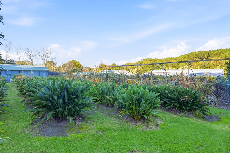 Photo - 270 Pacific Highway, Ourimbah NSW 2258 - Image 25
