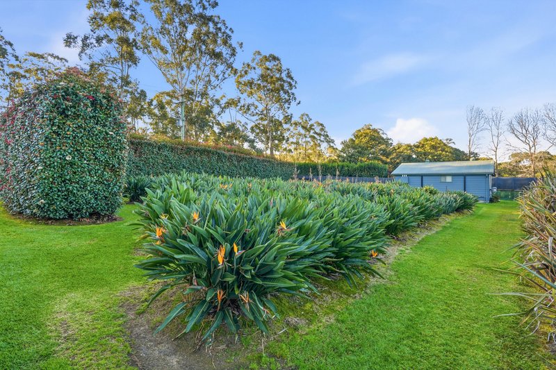 Photo - 270 Pacific Highway, Ourimbah NSW 2258 - Image 26