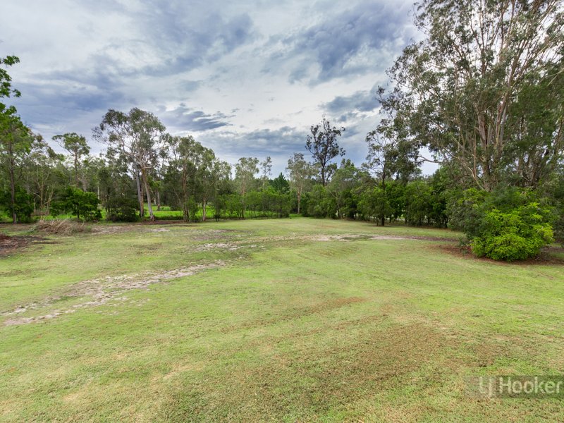 Photo - 270 Rosia Road, Park Ridge QLD 4125 - Image 24