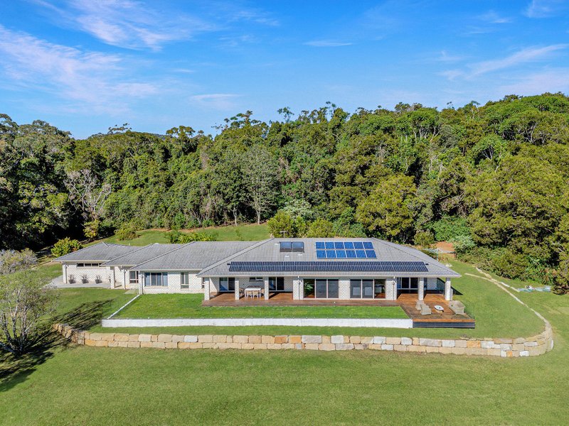 Photo - 2708 Springbrook Road, Springbrook QLD 4213 - Image 1