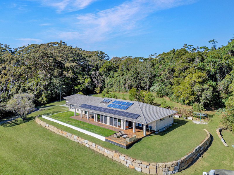 Photo - 2708 Springbrook Road, Springbrook QLD 4213 - Image 3