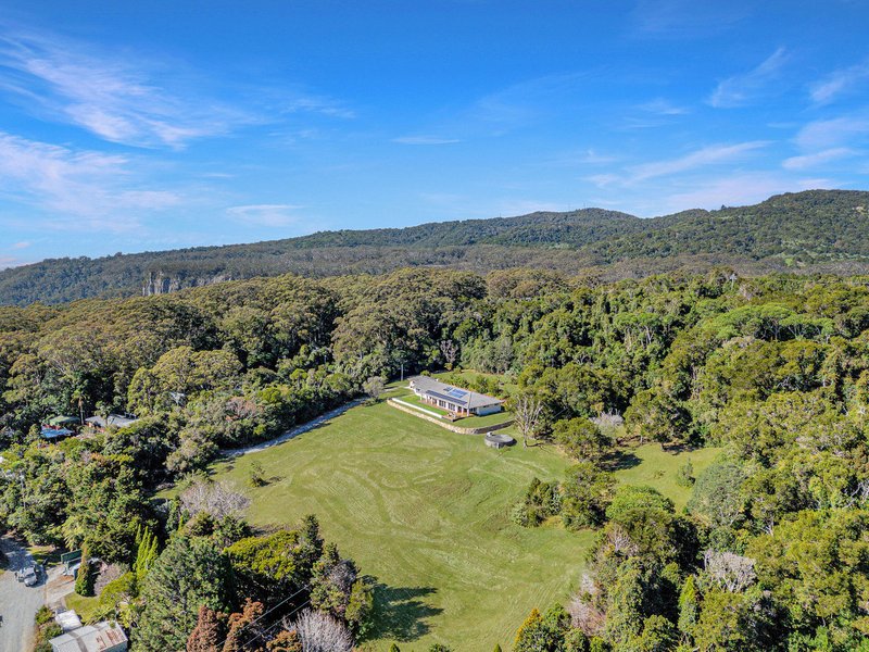 Photo - 2708 Springbrook Road, Springbrook QLD 4213 - Image 25
