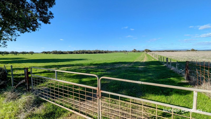 Photo - 271 Mayfield Road, Beermullah WA 6503 - Image 21