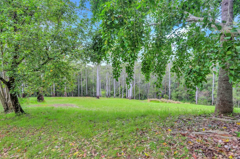 Photo - 271 Newmans Road, Wootton NSW 2423 - Image 27