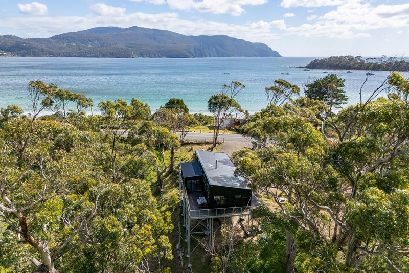 Photo - 272 Blowhole Road, Eaglehawk Neck TAS 7179 - Image 7