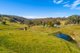 Photo - 272 Common Road, Sugarloaf Via , Dungog NSW 2420 - Image 8