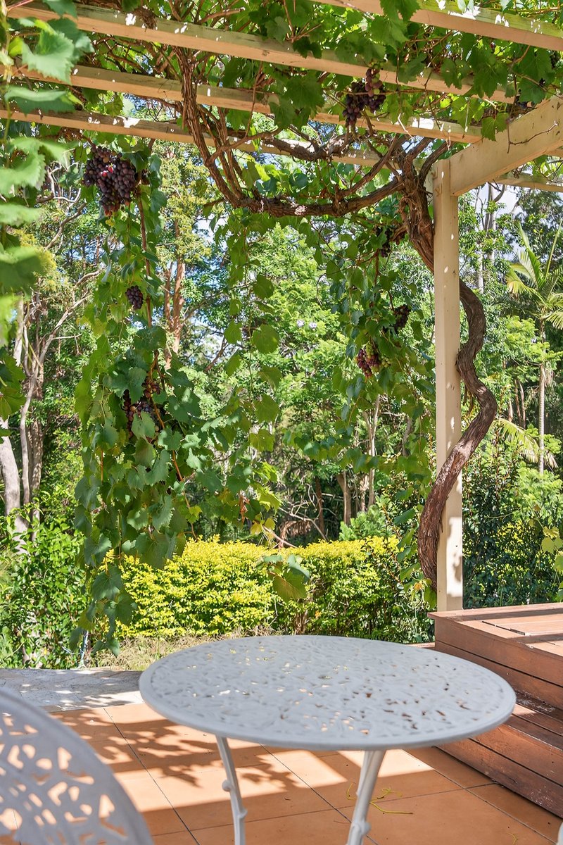 Photo - 272 Robinson Road, Mount Mee QLD 4521 - Image 16