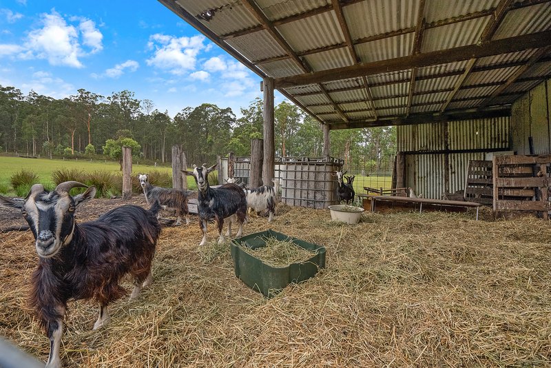 Photo - 273 Lowes Lane, Booral NSW 2425 - Image 17