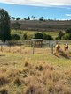 Photo - 273 Mount Sturt Road, Yangan QLD 4371 - Image 30