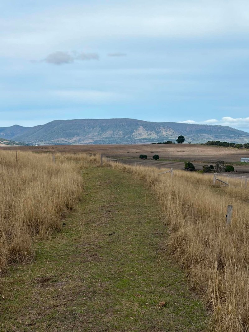 Photo - 273 Mount Sturt Road, Yangan QLD 4371 - Image 31