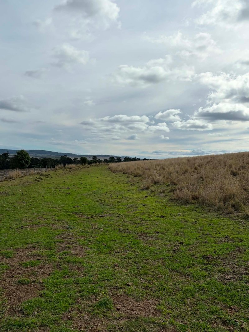 Photo - 273 Mount Sturt Road, Yangan QLD 4371 - Image 33