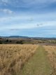 Photo - 273 Mount Sturt Road, Yangan QLD 4371 - Image 34
