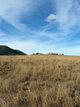 Photo - 273 Mount Sturt Road, Yangan QLD 4371 - Image 35