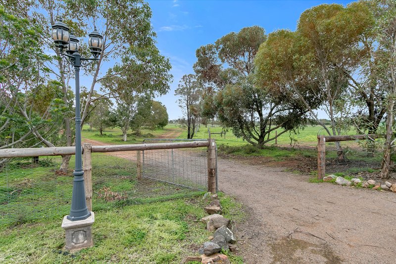 Photo - 273 Sanderston Road, Sanderston SA 5237 - Image 4