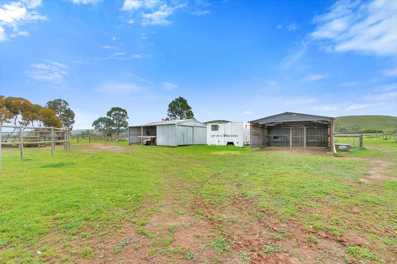 Photo - 273 Sanderston Road, Sanderston SA 5237 - Image 22