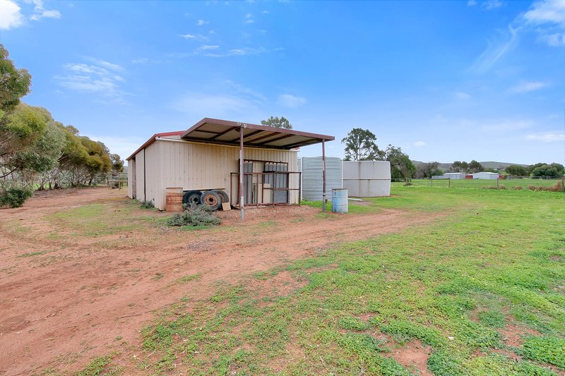 Photo - 273 Sanderston Road, Sanderston SA 5237 - Image 24