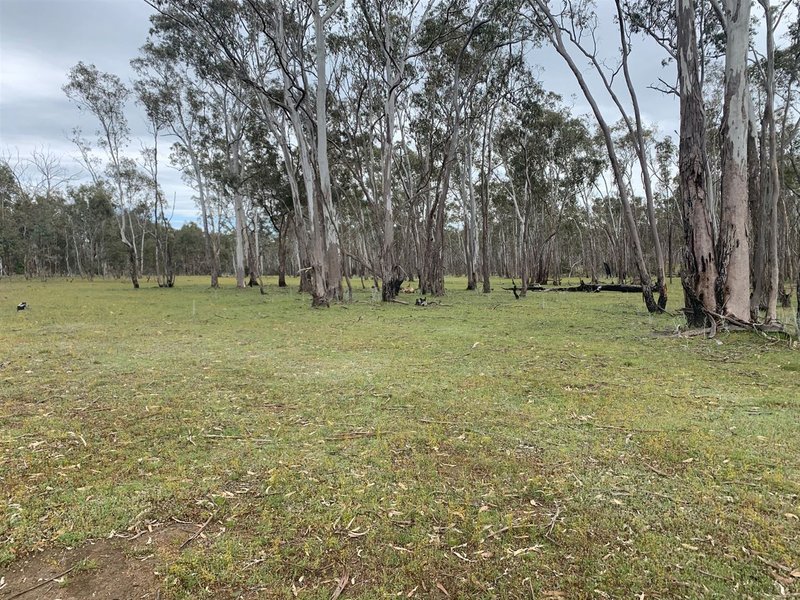 Photo - 273 Tulloh Track, Wartook VIC 3401 - Image 15