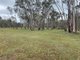 Photo - 273 Tulloh Track, Wartook VIC 3401 - Image 15