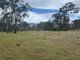 Photo - 273 Tulloh Track, Wartook VIC 3401 - Image 16