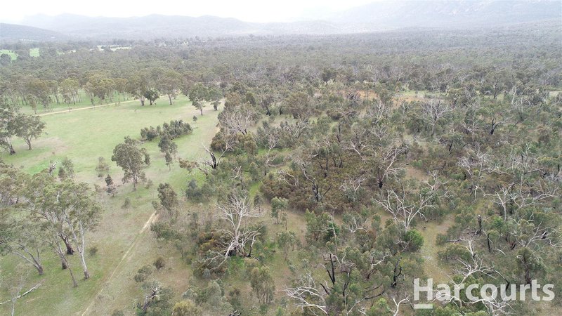 Photo - 273 Tulloh Track, Wartook VIC 3401 - Image 14