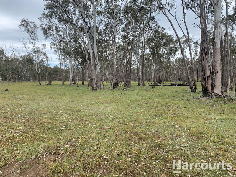 Photo - 273 Tulloh Track, Wartook VIC 3401 - Image 19