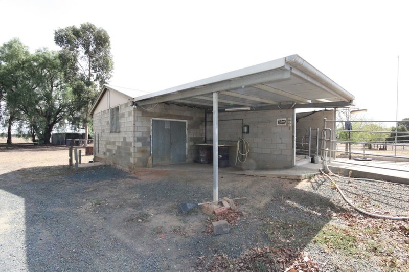 Photo - 274 O'Donnell Road, Rochester VIC 3561 - Image 23