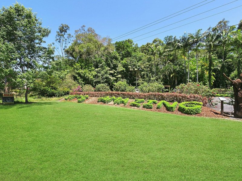 Photo - 274 Tanawha Tourist Drive, Buderim QLD 4556 - Image 4