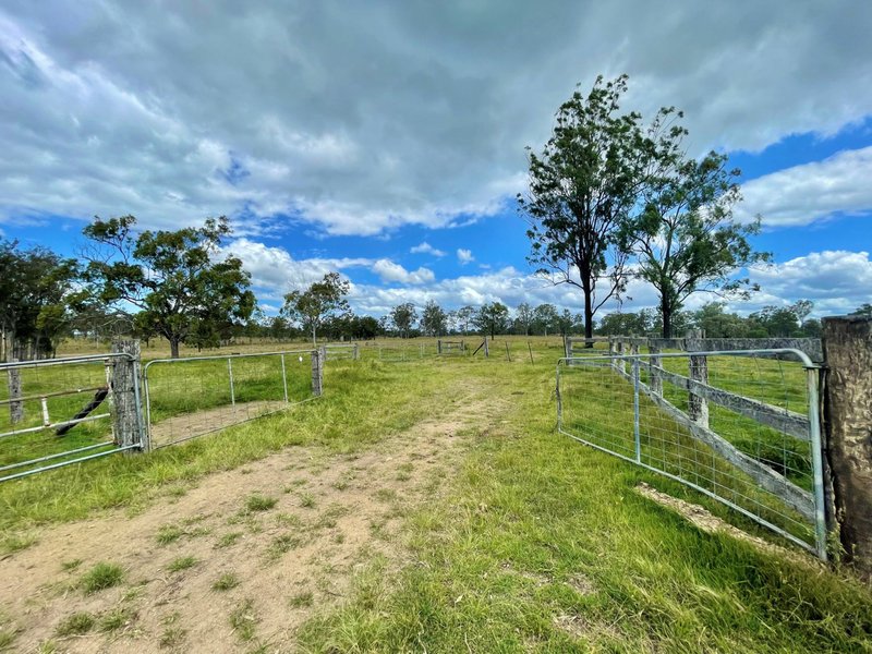 Photo - 274 Turkey Beach Road, Foreshores QLD 4678 - Image 17